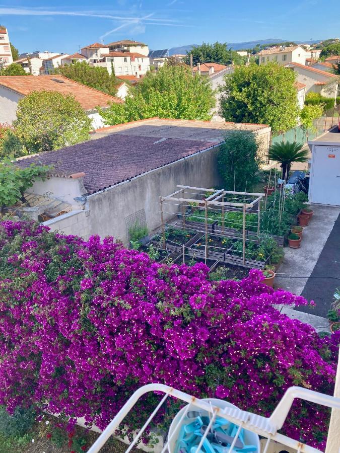 Cannes City B&B Екстер'єр фото